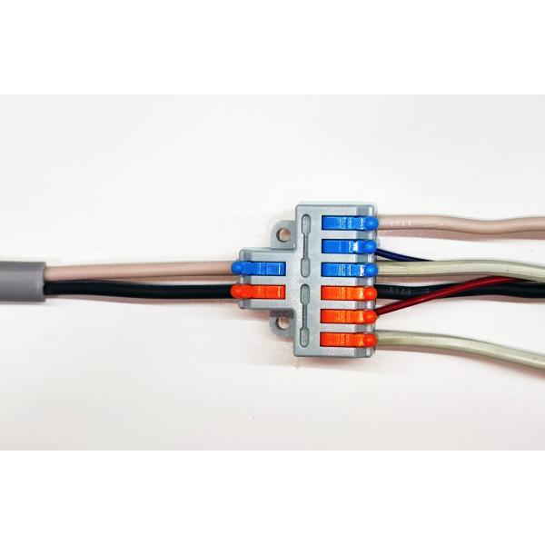 ledg_terminal-wire-connector-universal-box-3pinx2_2_d_20240201105254