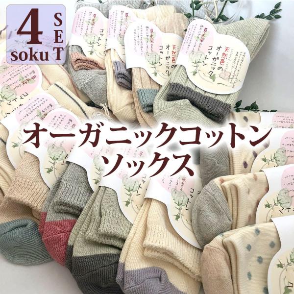 オーガニックコットン 草木染 クルーソックス 4色セット 綿混 レディース 靴下 抗菌防臭 吸水速乾