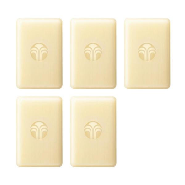 ニュースキン NU SKIN ボディーバー レフィル （5個入り）