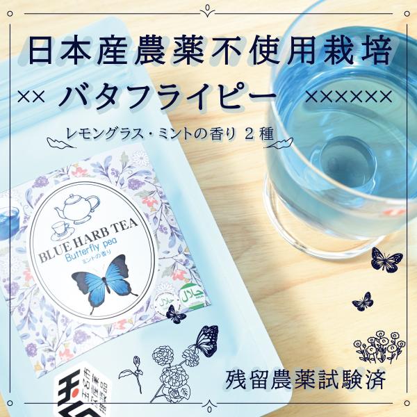 バタフライピー(国産) レモングラス/ミントの香り(2g×10)  青いハーブティー 残留農薬検査済