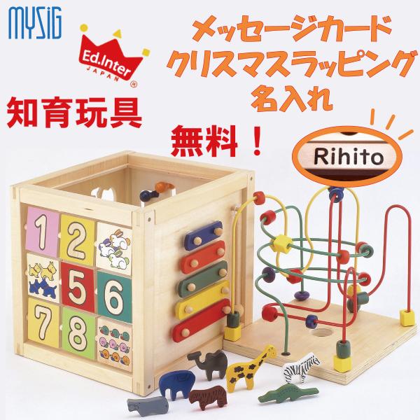エドインター 森のあそび箱　森の遊び箱 木のおもちゃ 型はめ パズル 知育玩具 赤ちゃん 対象年齢 1.5歳〜