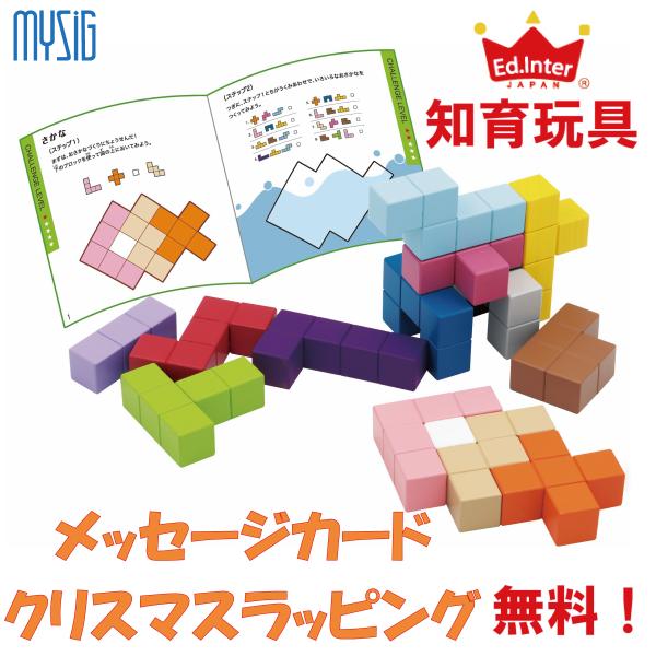 エドインター 立体パズル 知の贈り物シリーズ おもちゃ 積み木  知育玩具 木製玩具 木製ブロック 子ども玩具 ブロック遊び 対象年齢 4歳〜