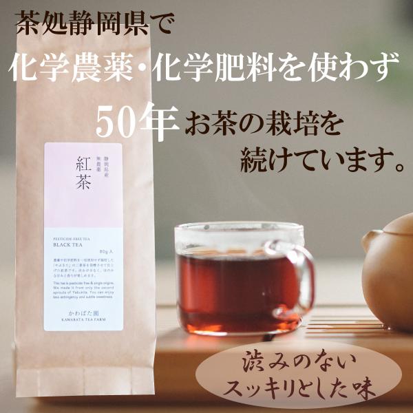 紅茶 50g 日本産 農薬不使用 高級茶 生茶 やぶきた かわばた園 静岡産