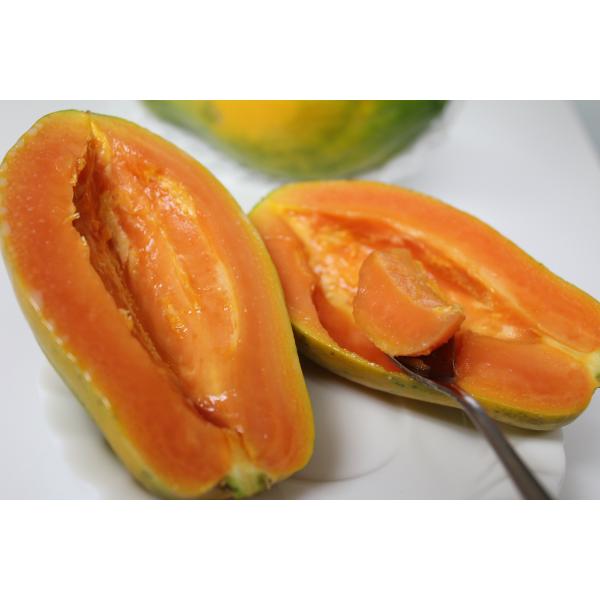 ※メーカー都合によりパッケージ等の外装面で異なる場合がございますので、あらかじめご了承くださいませ(免責) 画像は見本(イメージ)です。画像内に写った期限は撮影時のものであり、お届けする商品は期限内となります。詳細な期限については直接お問合...