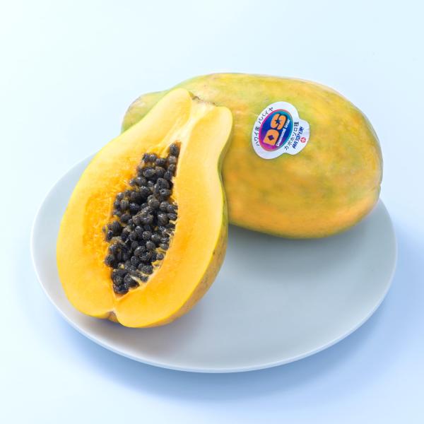 ※メーカー都合によりパッケージ等の外装面で異なる場合がございますので、あらかじめご了承くださいませ(免責) 画像は見本(イメージ)です。画像内に写った期限は撮影時のものであり、お届けする商品は期限内となります。詳細な期限については直接お問合...