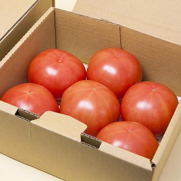 ※メーカー都合によりパッケージ等の外装面で異なる場合がございますので、あらかじめご了承くださいませ(免責) 画像は見本(イメージ)です。画像内に写った期限は撮影時のものであり、お届けする商品は期限内となります。詳細な期限については直接お問合...