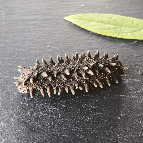 ※メーカー都合によりパッケージ等の外装面で異なる場合がございますので、あらかじめご了承くださいませ(免責) 画像は見本(イメージ)です。画像内に写った期限は撮影時のものであり、お届けする商品は期限内となります。詳細な期限については直接お問合...