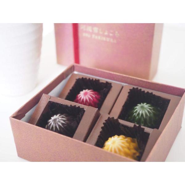 ※メーカー都合によりパッケージ等の外装面で異なる場合がございますので、あらかじめご了承くださいませ(免責) 画像は見本(イメージ)です。画像内に写った期限は撮影時のものであり、お届けする商品は期限内となります。詳細な期限については直接お問合...