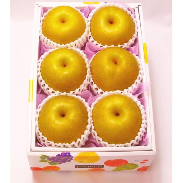 ※メーカー都合によりパッケージ等の外装面で異なる場合がございますので、あらかじめご了承くださいませ(免責) 画像は見本(イメージ)です。画像内に写った期限は撮影時のものであり、お届けする商品は期限内となります。詳細な期限については直接お問合...