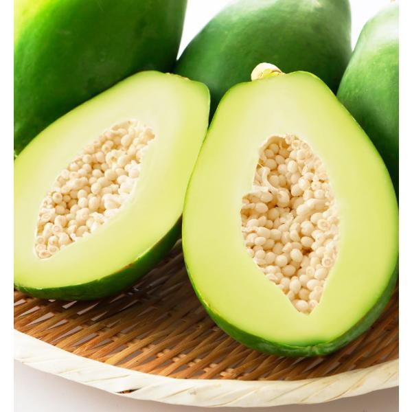 ※メーカー都合によりパッケージ等の外装面で異なる場合がございますので、あらかじめご了承くださいませ(免責) 画像は見本(イメージ)です。画像内に写った期限は撮影時のものであり、お届けする商品は期限内となります。詳細な期限については直接お問合...