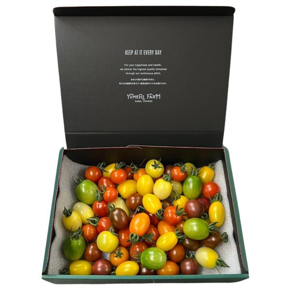 ※メーカー都合によりパッケージ等の外装面で異なる場合がございますので、あらかじめご了承くださいませ(免責) 画像は見本(イメージ)です。画像内に写った期限は撮影時のものであり、お届けする商品は期限内となります。詳細な期限については直接お問合...