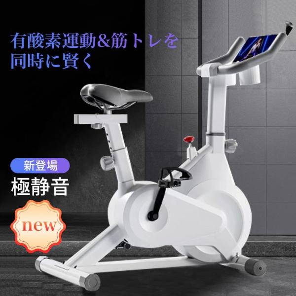 エアロバイク 家庭用 静音スピンバイク フィットネスバイク