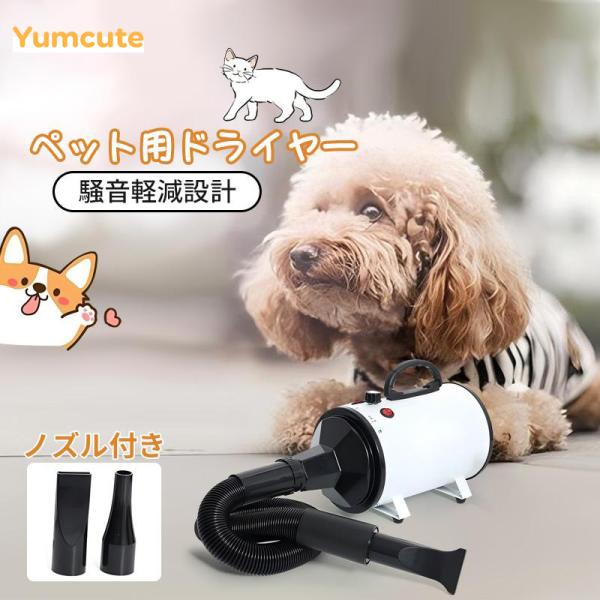犬猫ドライヤー Amazon.co.jp: [イツワペット] グルーミングドライヤー 犬・猫用