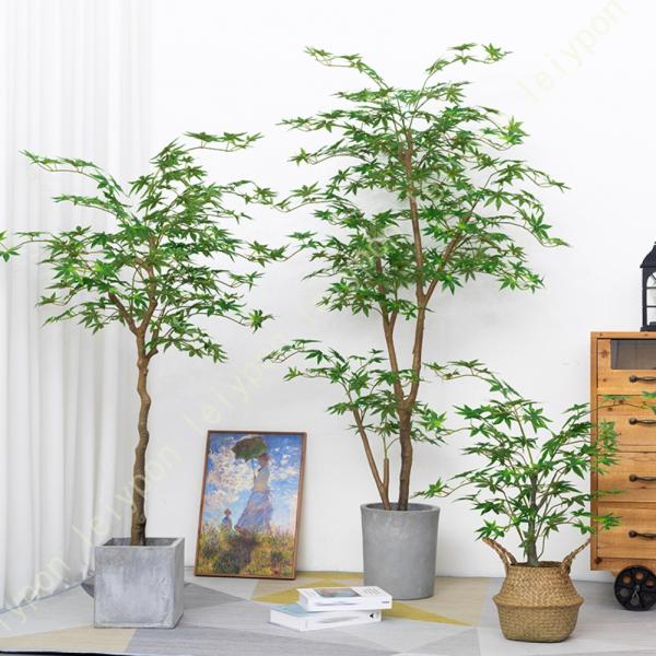 [Release date: September 4, 2024]１、人工観葉植物（プラスチック）、ポット鉢付き。２、A80cm = 高80cm+黒い鉢。A120cm = 高120cm+黒い鉢。B120cm = 高120cm+花バスケット。...
