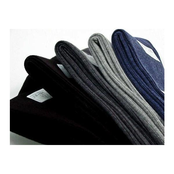 ma ␢EiG}ۑ@ێjgp CIŏۂ̌C u 5Zbg 23/25cm STCY