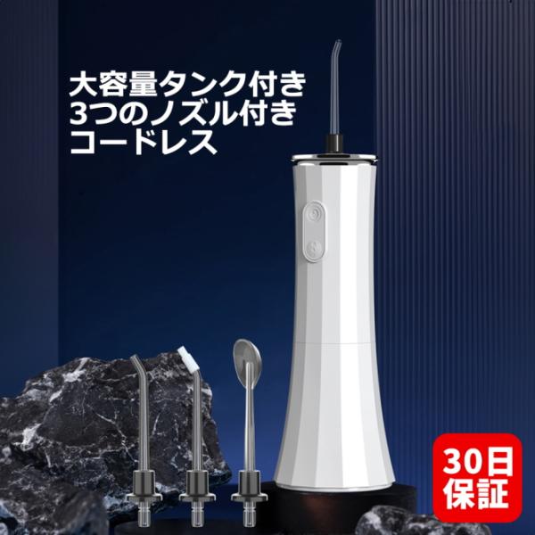 ジェットウォッシャー口腔洗浄器 ウォーターフロス 口腔洗浄機 電動歯ブラシ USB充電式 充電ケーブル付き 風呂 フロス マウスウォッシャー 30日保証 C-jetUCS2