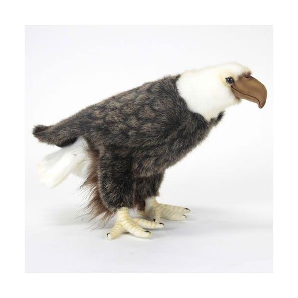 ぬいぐるみ ハクトウ ワシの人気商品 通販 価格比較 価格 Com