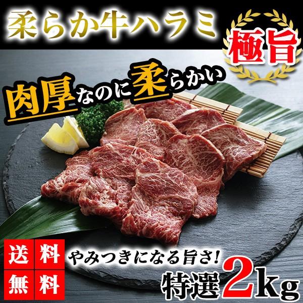 ハラミ 2kg 牛ハラミ 焼肉 送料無料 牛肉 やわらかハラミ 肉 ハラミ肉 サガリ バーベキュー q グルメ Epsi Rating Com