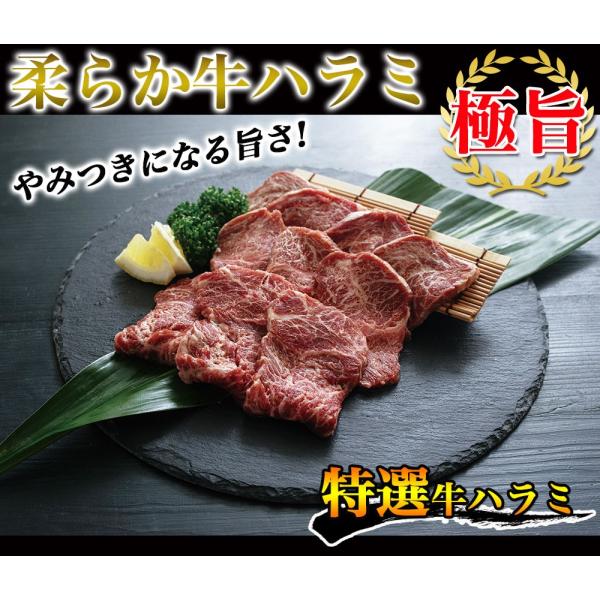 ハラミ 2kg 牛ハラミ 焼肉 送料無料 牛肉 やわらかハラミ 肉 ハラミ肉 サガリ バーベキュー q グルメ Epsi Rating Com