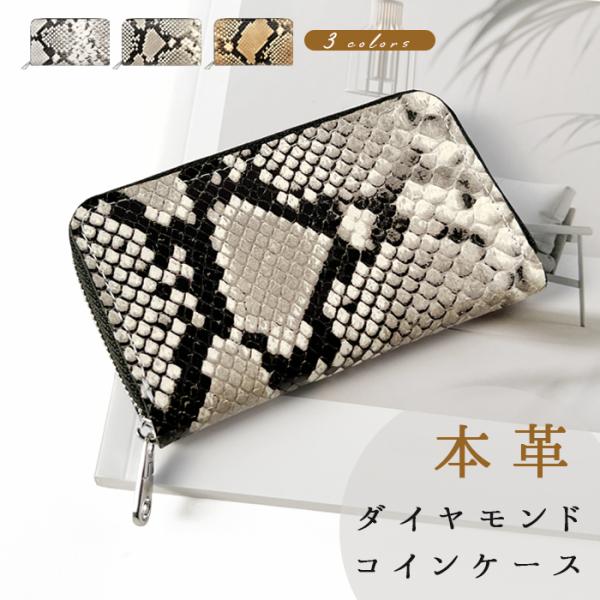 leo-and-aoi_pythoncoincase