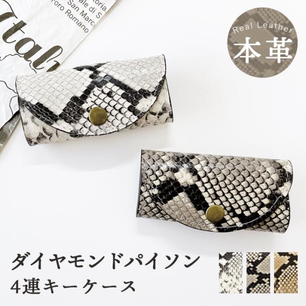 leo-aoiputi_pythonkeycase