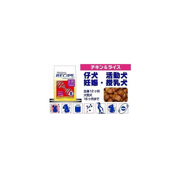 zXeBbNZs[ ps[ `L 2.4kgyHolistic RECIPEzye//DPEpzy12/^18܂Łz