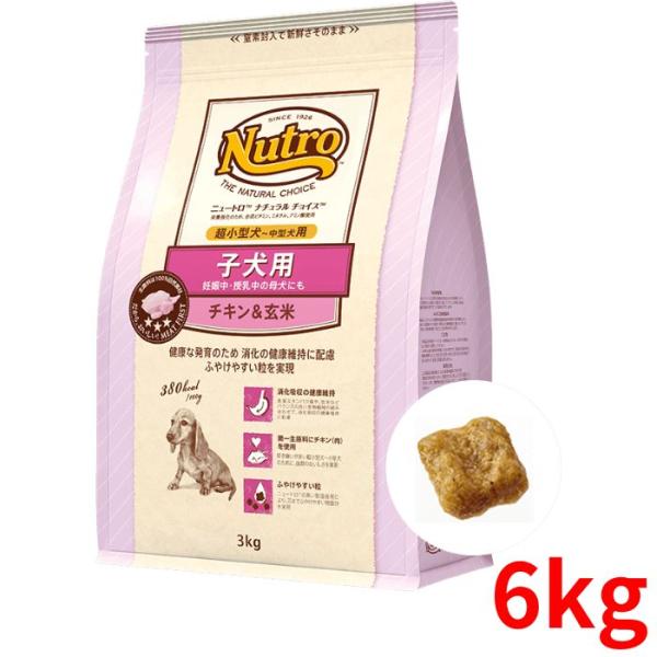 ニュートロ ナチュラルチョイス チキン＆玄米 子犬用 超小型犬〜中型犬用 6kg【正規品】