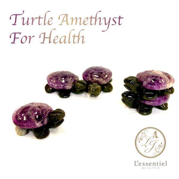 飾れる お守り 】 亀 アメジスト 縁起 長寿 健康 幸運 天然石 財 金運