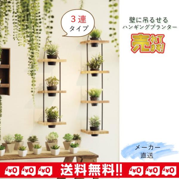 プランター 壁掛け ハンギングプランター 植物 観葉植物 ３連 おしゃれ ナチュラル 北欧 Ttz 313 Buyee Buyee Japanese Proxy Service Buy From Japan Bot Online
