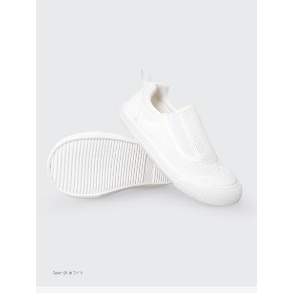 letdream_ed25001_3_d_20260401113011