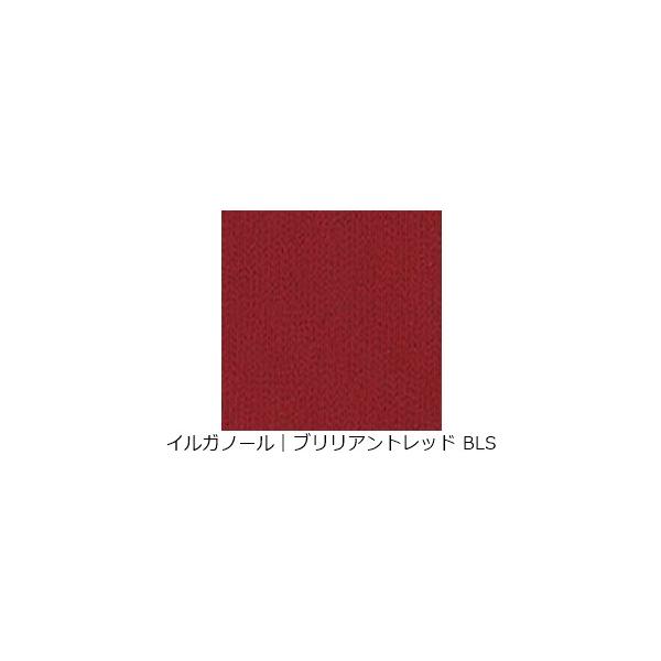 ■用途／特長イルガランは酸性含金染料、イルガノールは酸性染料です。溶解はあまりよくありませんが、渋味の色調と堅牢度が高い事が特徴です。■仕様／内容イルガラン：酸性含金染料／イルガノール：酸性染料絹・羊毛・ナイロン用染料使い方の詳細は商品説明...