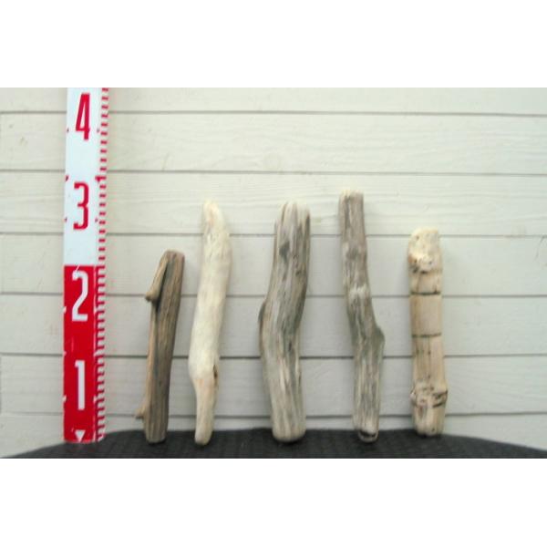 ���ؖ_50����������5�{�Z�b�g a464 DIY���|�C���e���A�X�܃f�B�X�v���C��B�e�p�Ɏg���闬�ؖ_�f�� ���i�摜1