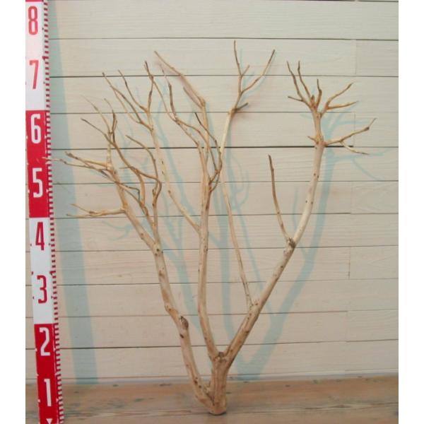 流木小枝細枝 E262 インテリア店舗ディスプレイ撮影用オブジェガーデニング園芸用やdiy工作棚板アクアリュウム爬虫類用等に使える流木枝幹板素材 Buyee Servis Zakupok Tretim Licom Buyee Pokupajte Iz Yaponii