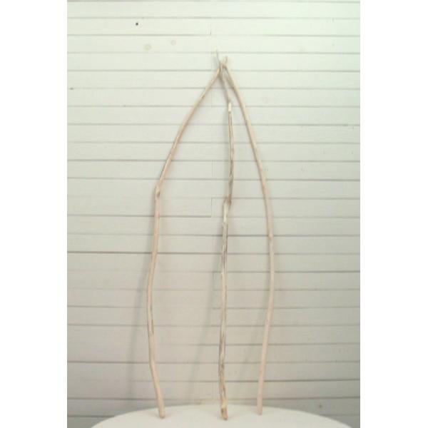 �׎}���؂̂R�{�Z�b�g e385 DIY���|�C���e���A�X�܃f�B�X�v���C��B�e�p�Ɏg���闬�ؖ_�f�� ���i�摜2