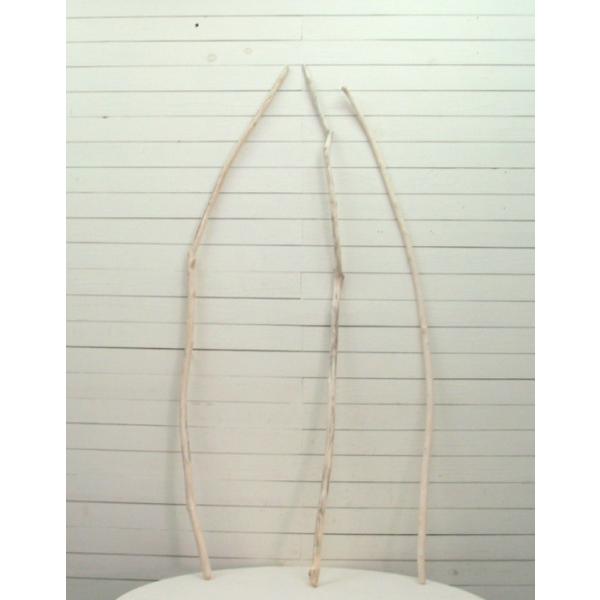 �׎}���؂̂R�{�Z�b�g e385 DIY���|�C���e���A�X�܃f�B�X�v���C��B�e�p�Ɏg���闬�ؖ_�f�� ���i�摜3