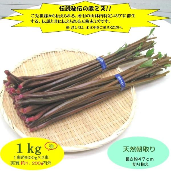 [Release date: June 10, 2026]赤ミズは、食物繊維・ビタミンB1．B2・ビタミンC・ミネラルが多く含まれ、抗酸化解毒作用があるとされ、ビタミンB1・B2は疲労回復発育などに関わる要素として、そして特にビタミンCの赤...