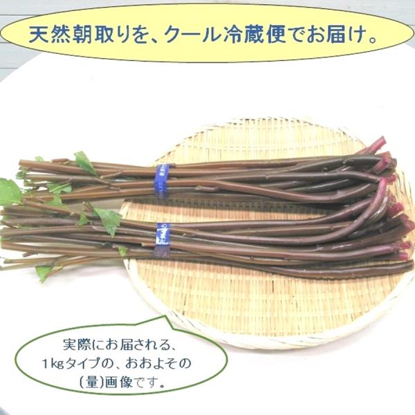 [Release date: June 10, 2026]赤ミズは、食物繊維・ビタミンB1．B2・ビタミンC・ミネラルが多く含まれ、抗酸化解毒作用があるとされ、ビタミンB1・B2は疲労回復発育などに関わる要素として、そして特にビタミンCの赤...