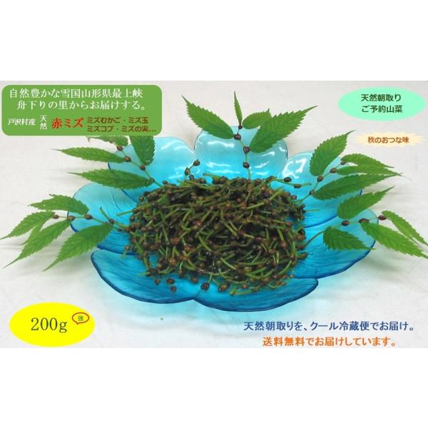 [Release date: September 4, 2026]赤ミズは、食物繊維・ビタミンB1．B2・ビタミンC・ミネラルが多く含まれ、抗酸化解毒作用があるとされ、ビタミンB1・B2は疲労回復発育などに関わる要素として、そして特にビタミ...