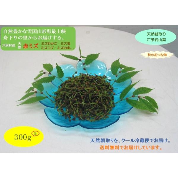 [Release date: September 4, 2026]赤ミズは、食物繊維・ビタミンB1．B2・ビタミンC・ミネラルが多く含まれ、抗酸化解毒作用があるとされ、ビタミンB1・B2は疲労回復発育などに関わる要素として、そして特にビタミ...