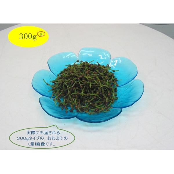 [Release date: September 4, 2026]赤ミズは、食物繊維・ビタミンB1．B2・ビタミンC・ミネラルが多く含まれ、抗酸化解毒作用があるとされ、ビタミンB1・B2は疲労回復発育などに関わる要素として、そして特にビタミ...