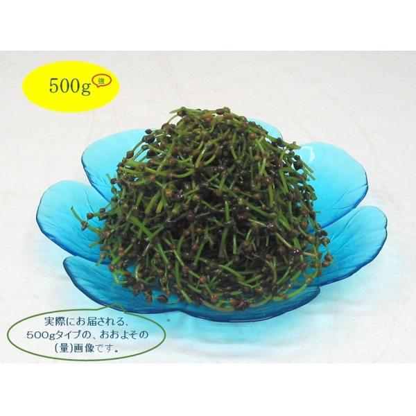 [Release date: September 4, 2026]赤ミズは、食物繊維・ビタミンB1．B2・ビタミンC・ミネラルが多く含まれ、抗酸化解毒作用があるとされ、ビタミンB1・B2は疲労回復発育などに関わる要素として、そして特にビタミ...