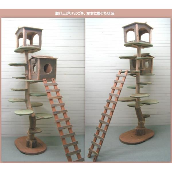 �I���W�i����^���؃L���b�g�^���[pk56 ���i�摜3