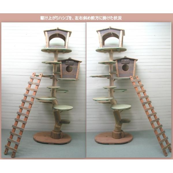 �I���W�i����^���؃L���b�g�^���[pk56 ���i�摜4