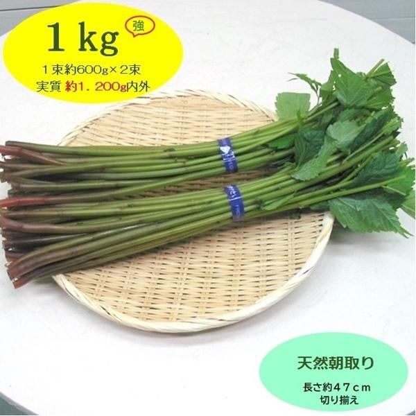 [Release date: June 5, 2026]赤ミズは、食物繊維・ビタミンB1．B2・ビタミンC・ミネラルが多く含まれ、抗酸化解毒作用があるとされ、ビタミンB1・B2は疲労回復発育などに関わる要素として、そして特にビタミンCの赤ミ...