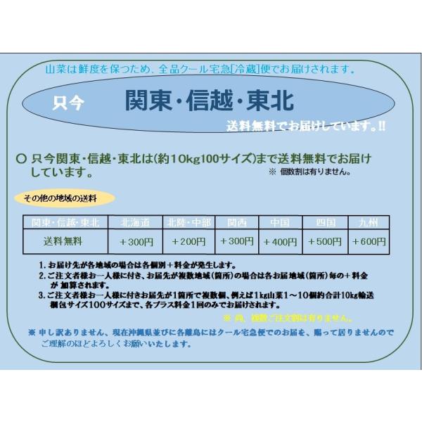 �܂��܂��H�׍�������...�R�`���ŏ㋬�M����̗��`�V�N�V�R����育�\��R�� [ �ԃ~�Y�Q.5������ ] ���i���X�Ƀ��[�Y�i�u���ɁB!! �N�[���ւł��͂��B ���i�摜4