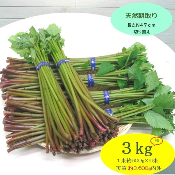 [Release date: June 5, 2026]赤ミズは、食物繊維・ビタミンB1．B2・ビタミンC・ミネラルが多く含まれ、抗酸化解毒作用があるとされ、ビタミンB1・B2は疲労回復発育などに関わる要素として、そして特にビタミンCの赤ミ...