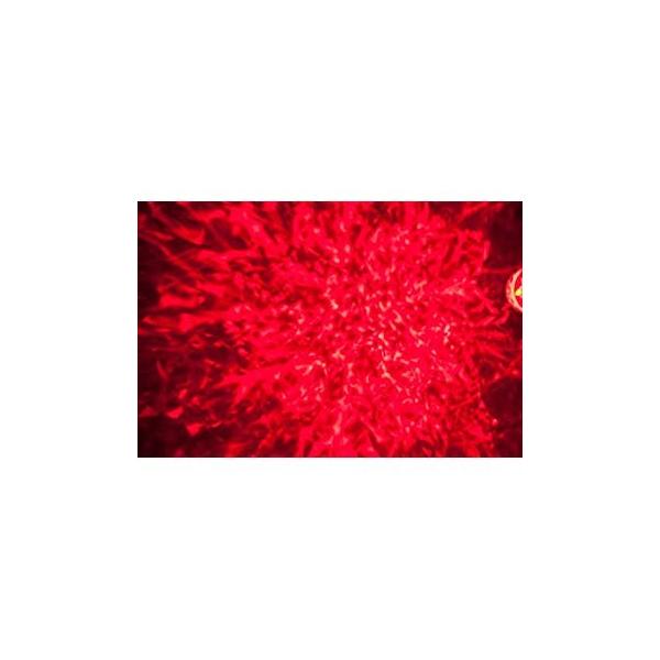 高品質 Waterproof Light Rotating Wed Light Projector With Spotlight Flame U Levelone ヤフー店 外灯 Rotating Led Light