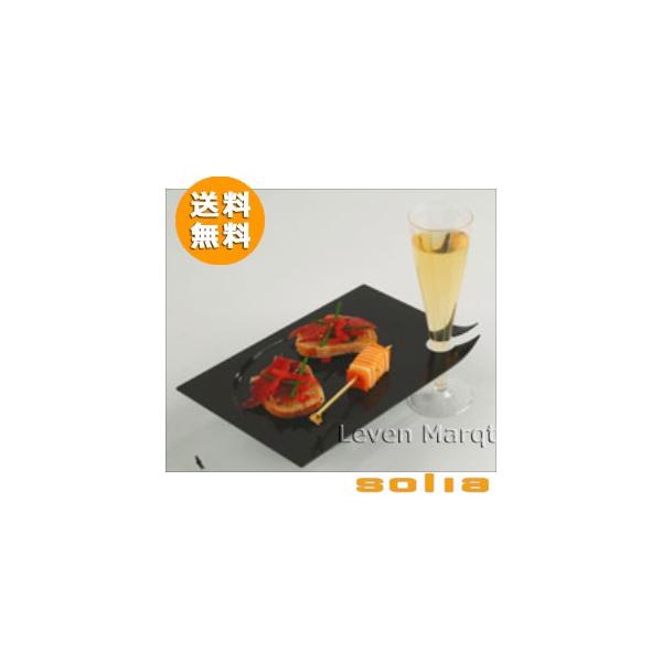 \A solia  p[eB[v[g }^ 210×140mm 100ubN@P[^O/vX`bNe/ĝĐH