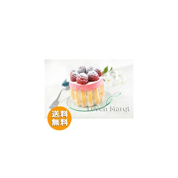 \A solia fBXNP[Lv[g 1000(4F) P[^O/vX`bNe/ĝĐH