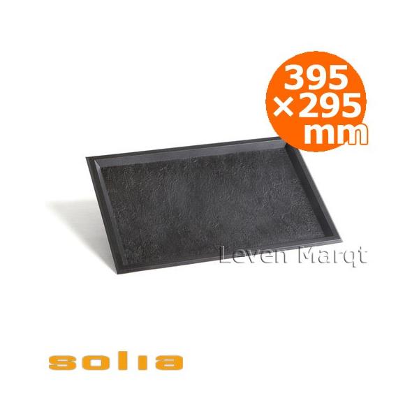 \A solia X[ggC 395×295mm ubN 10 Ɩp/P[^O/ĝĐH